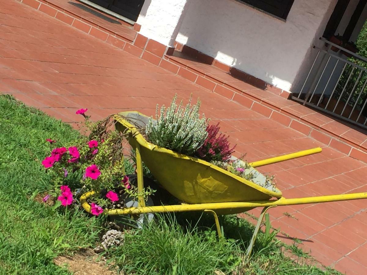 Progetto Vacanze Invorio Inferiore Extérieur photo